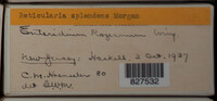 Image Associated With the Occurence